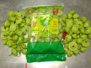 dsc00032.jpeg